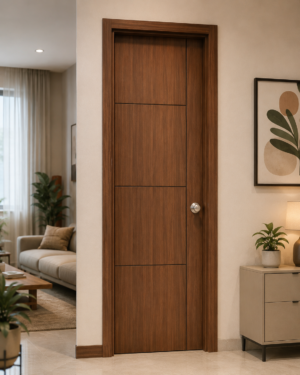Modern door